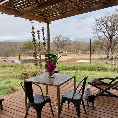 Hippomoon Lodge Game Reserve Hoedspruit Exterior photo