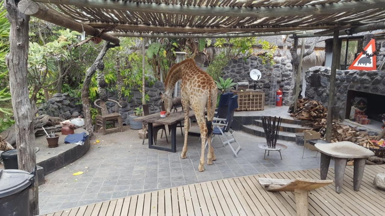 Hippomoon Lodge Game Reserve Hoedspruit Exterior photo
